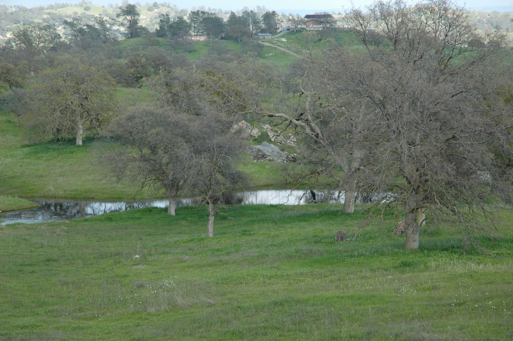 DSC_0128.JPG