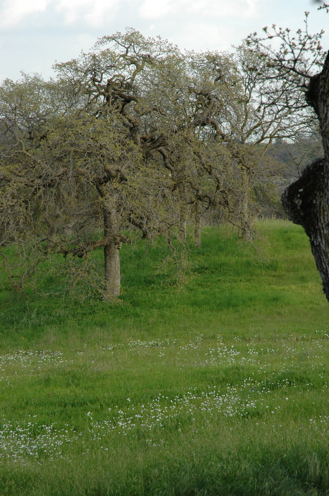 DSC_0129.JPG