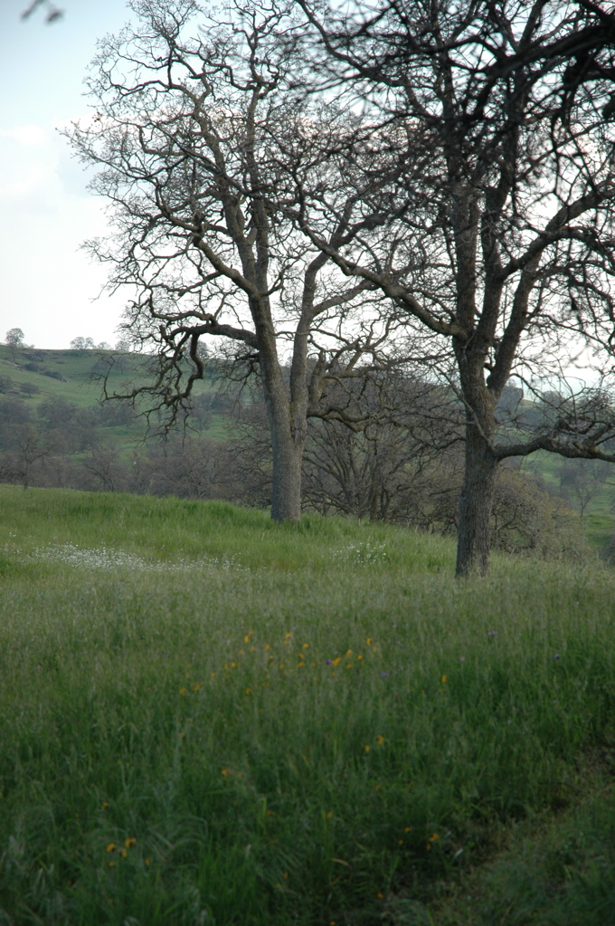 DSC_0130.JPG
