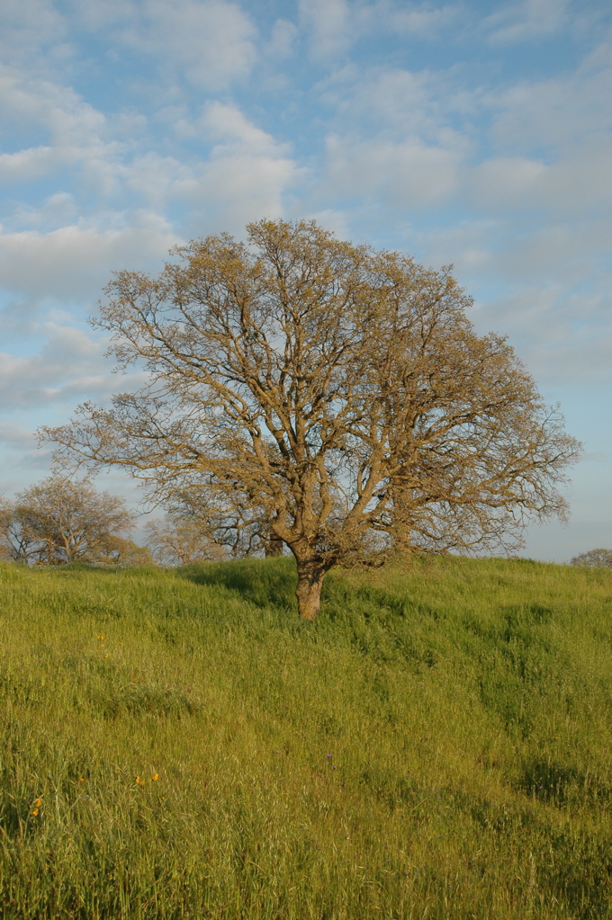 DSC_0139.JPG