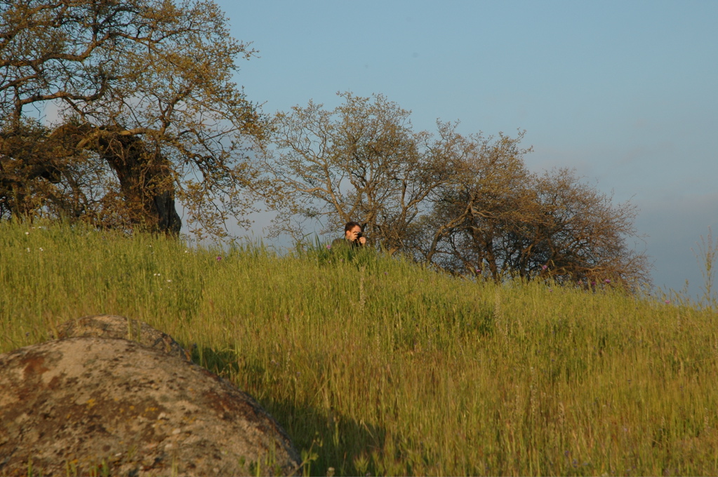 DSC_0151.JPG