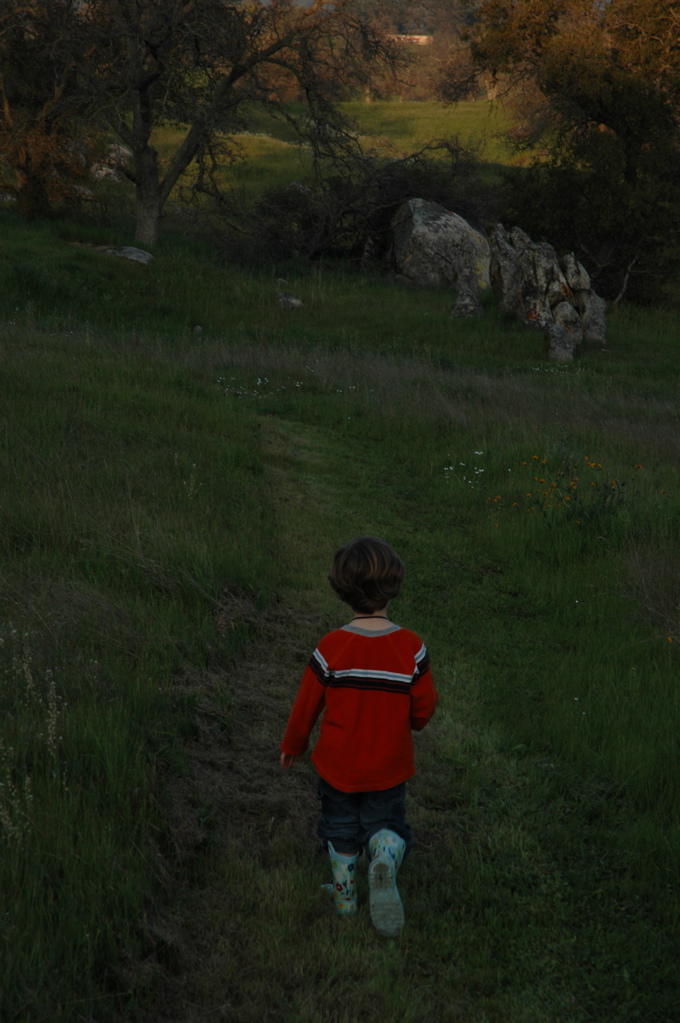 DSC_0164.JPG