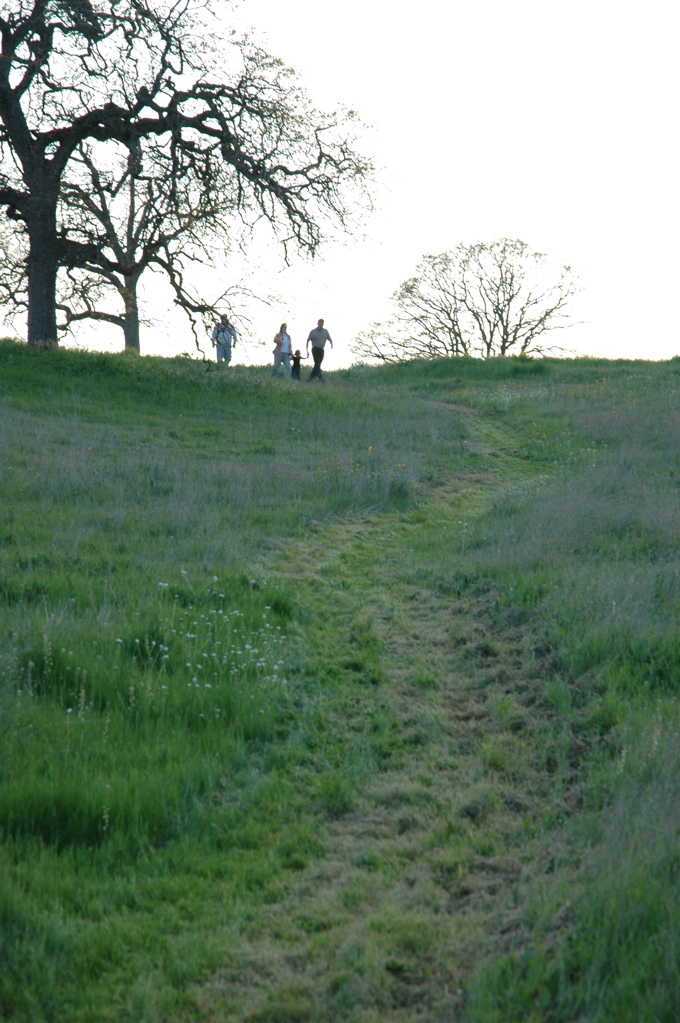 DSC_0170.JPG