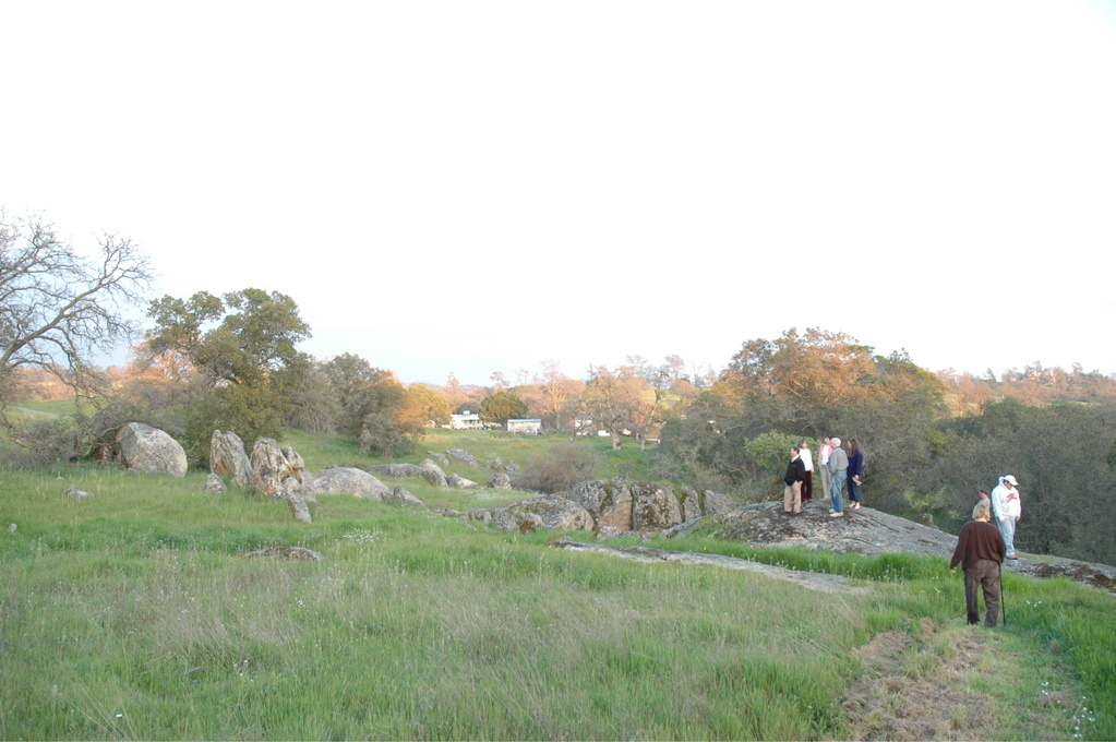 DSC_0210.JPG