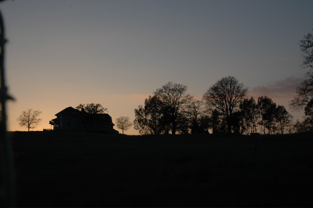 DSC_0224.JPG