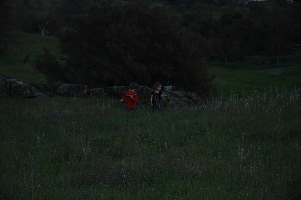 DSC_0243.JPG