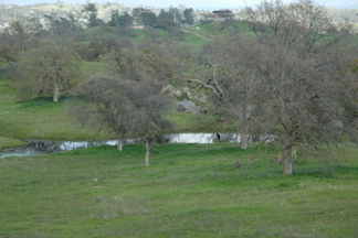 DSC_0128.JPG