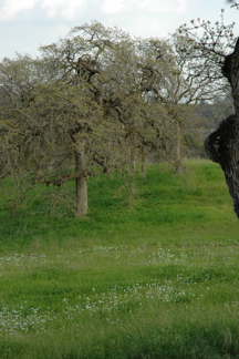 DSC_0129.JPG