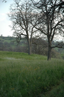 DSC_0130.JPG