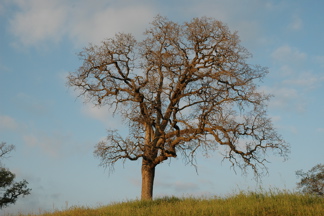 DSC_0150.JPG