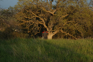 DSC_0158.JPG