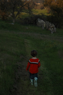 DSC_0164.JPG