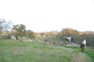 DSC_0210.JPG