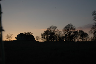 DSC_0224.JPG