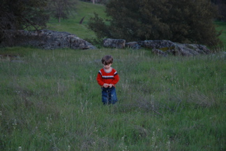DSC_0244.JPG