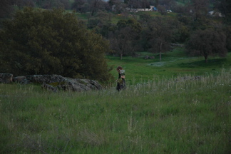 DSC_0245.JPG